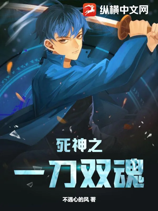 《死神之一刀双魂》小说封面