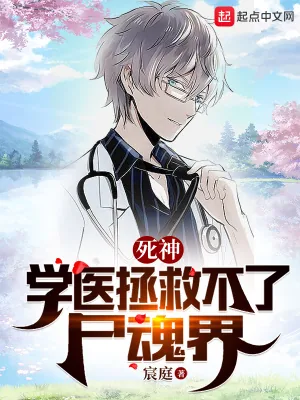 《死神:学医拯救不了尸魂界》小说封面