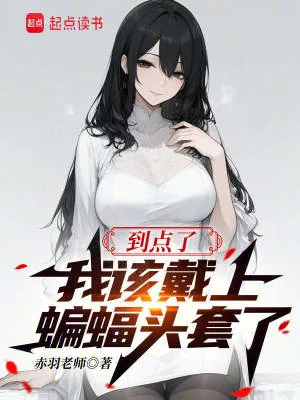 《到点了,我该戴上蝙蝠头套了》小说封面