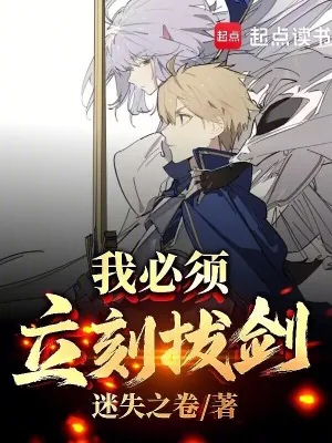 《我必须立刻拔剑!》小说封面