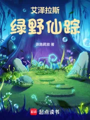 《艾泽拉斯绿野仙踪》小说封面