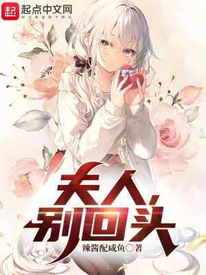《夫人，别回头》小说封面