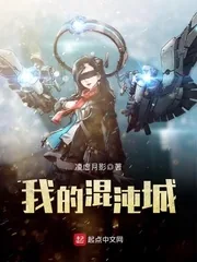 《我的混沌城》小说封面