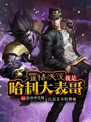 《霍格沃茨:我是哈利大表哥》小说封面