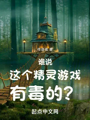 《谁说这个精灵游戏有毒的?》小说封面