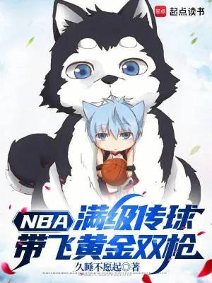 《NBA:满级传球,带飞黄金双枪》小说封面