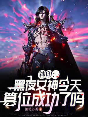 《神印:黑夜女神今天篡位成功了吗》小说封面