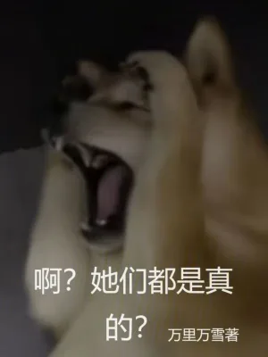 《啊？她们都是真的？》小说封面