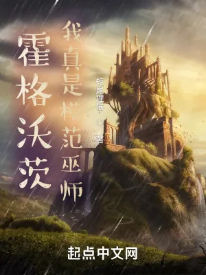 《霍格沃茨：我真是模范巫师》小说封面