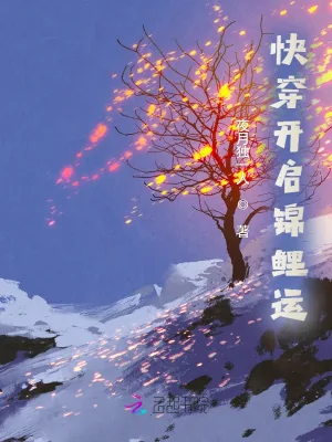《快穿开启锦鲤运》小说封面