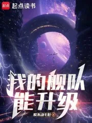 《我的舰队能升级》小说封面