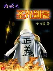 《海贼之圣光剑豪》小说封面