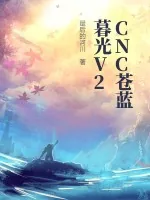 《CNC苍蓝暮光V2》小说封面