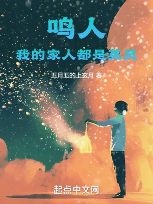 《鸣人，我的家人都是英灵》小说封面