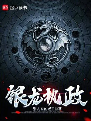 《银龙执政》小说封面
