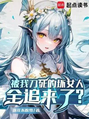 《被我刀死的坏女人全追来了?》小说封面