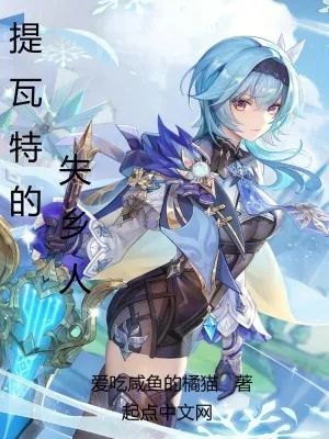 《提瓦特的失乡人》小说封面