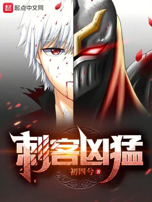《刺客凶猛》小说封面