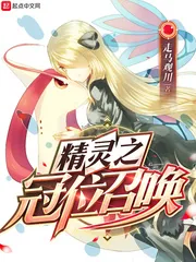 《精灵之冠位召唤》小说封面