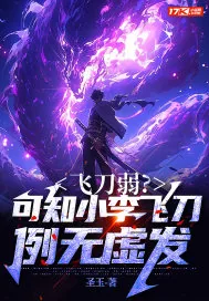 《飞刀弱?可知小李飞刀,例无虚发》小说封面