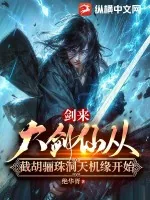《剑来：大剑仙从截胡骊珠洞天机缘开始》小说封面