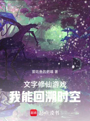 《文字修仙游戏:我能回溯时空》小说封面