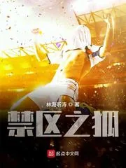 《禁区之狐》小说封面