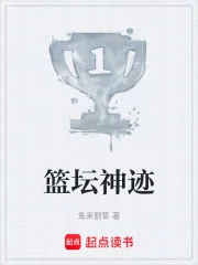 《篮坛神迹》小说封面