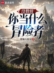 《没数值你当什么冒险者》小说封面