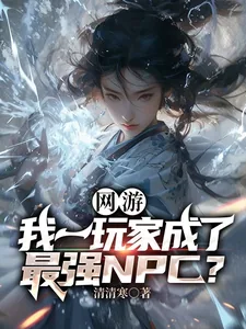 《网游:我一玩家成了最强NPC?》小说封面