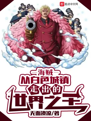 《海贼：从白色城镇走出的世界之王》小说封面