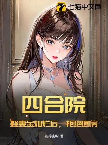 《四合院：娶妻金灿烂后，拒绝圆房！》小说封面