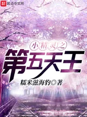 《小精灵之第五天王》小说封面