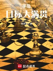 《半岛：目标大满贯》小说封面