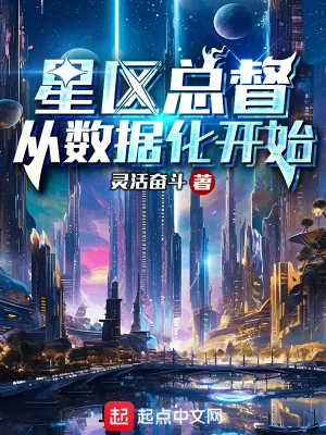 《星区总督从数据化开始》小说封面