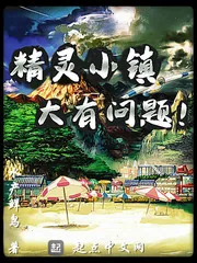 《精灵小镇大有问题》小说封面