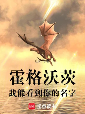 《霍格沃茨:我能看到你的名字》小说封面