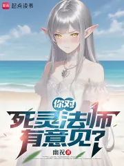 《你对死灵法师有意见?》小说封面