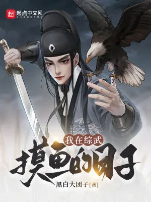 《我在综武摸鱼的日子》小说封面