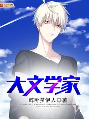 《大文学家》小说封面