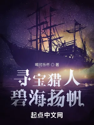 《寻宝猎人，碧海扬帆》小说封面
