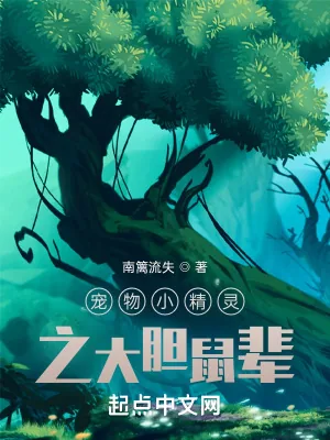 《宠物小精灵之大胆鼠辈》小说封面