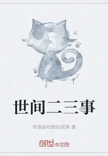 《世间二三事》小说封面