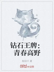 《钻石王牌：青春高野》小说封面