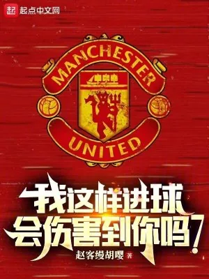 《我这样进球，会伤害到你吗？》小说封面