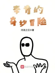 《李青的奇妙冒险》小说封面