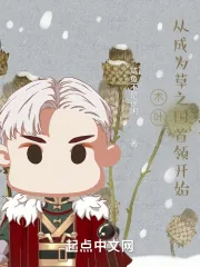 《木叶：从成为草之国首领开始》小说封面