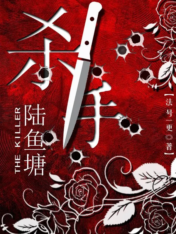 《杀手陆鱼塘》小说封面