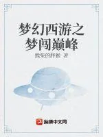 《梦幻西游之梦闯巅峰》封面