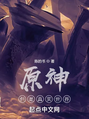 《原神，但是真实世界》封面